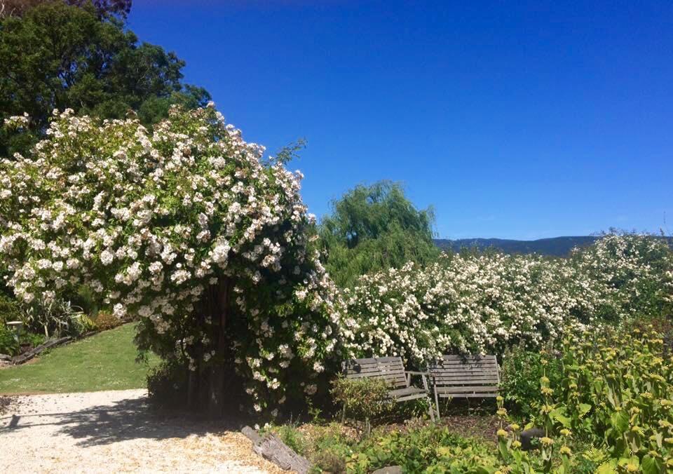 Solve Sanctuary Bed and Breakfast Milton Esterno foto
